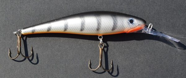 Jesse DJE, 14cm. 015.