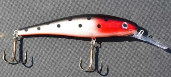 Jesse DJE, 14cm. 042.